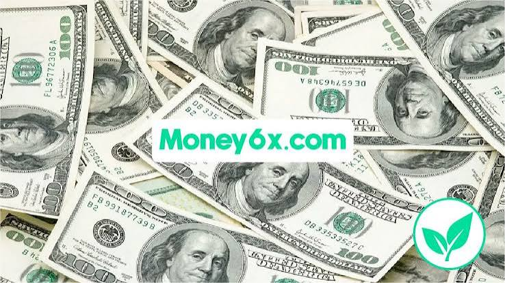 money6x.com make money